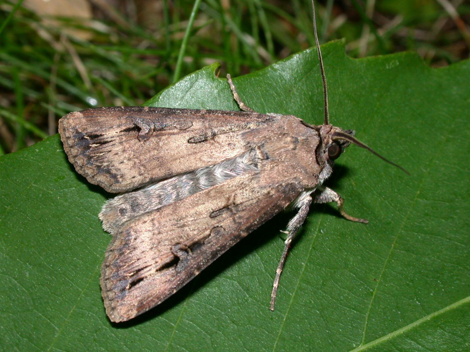 A4659